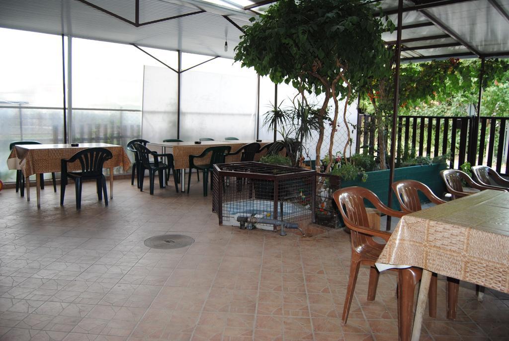 Joleski Accommodation Ohri Dış mekan fotoğraf